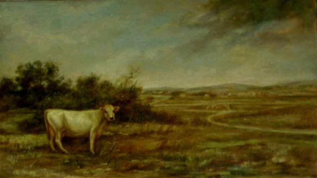 Silenzio nella campagna - Giorgio Esposito