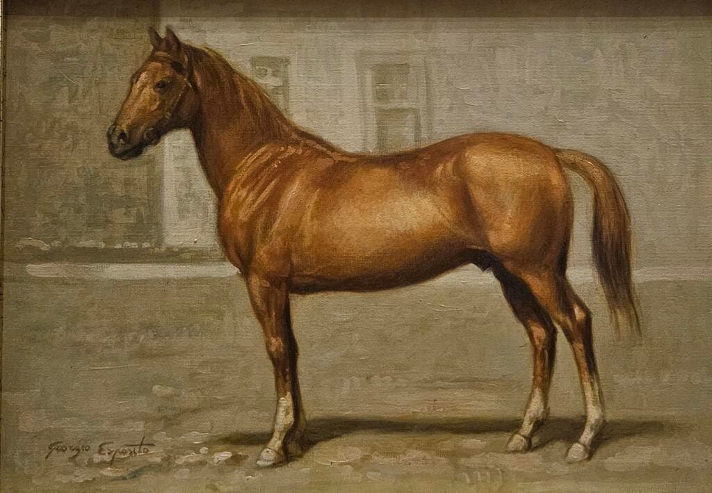 Eleganza in silenzio - Giorgio Esposito