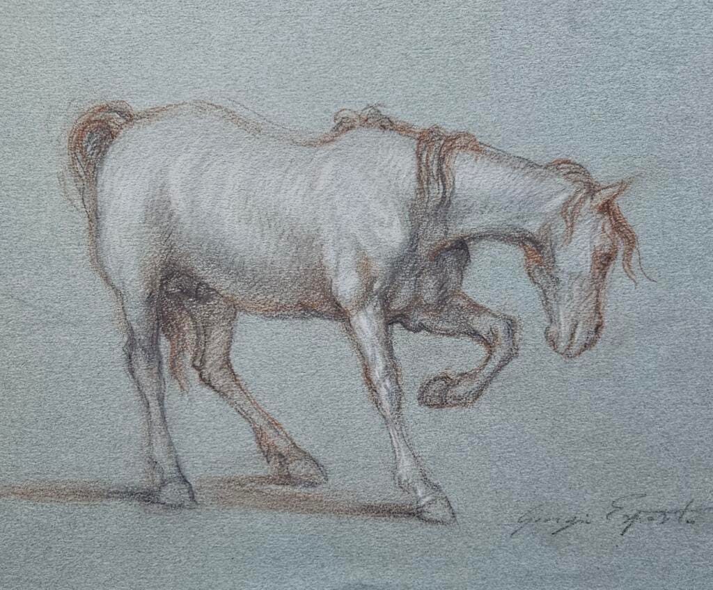 Cavallo – Giorgio Esposito