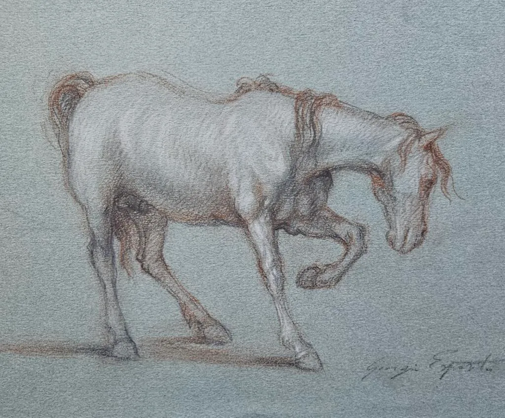 Cavallo – Giorgio Esposito