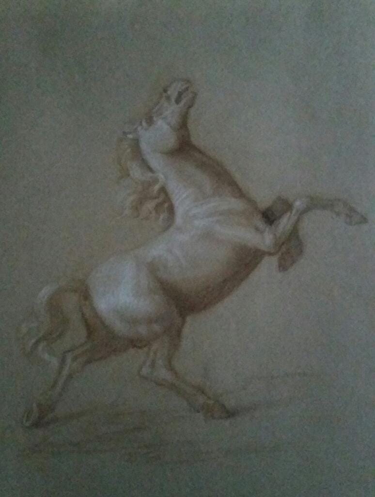 Cavallo imbizzarrito – Giorgio Esposito