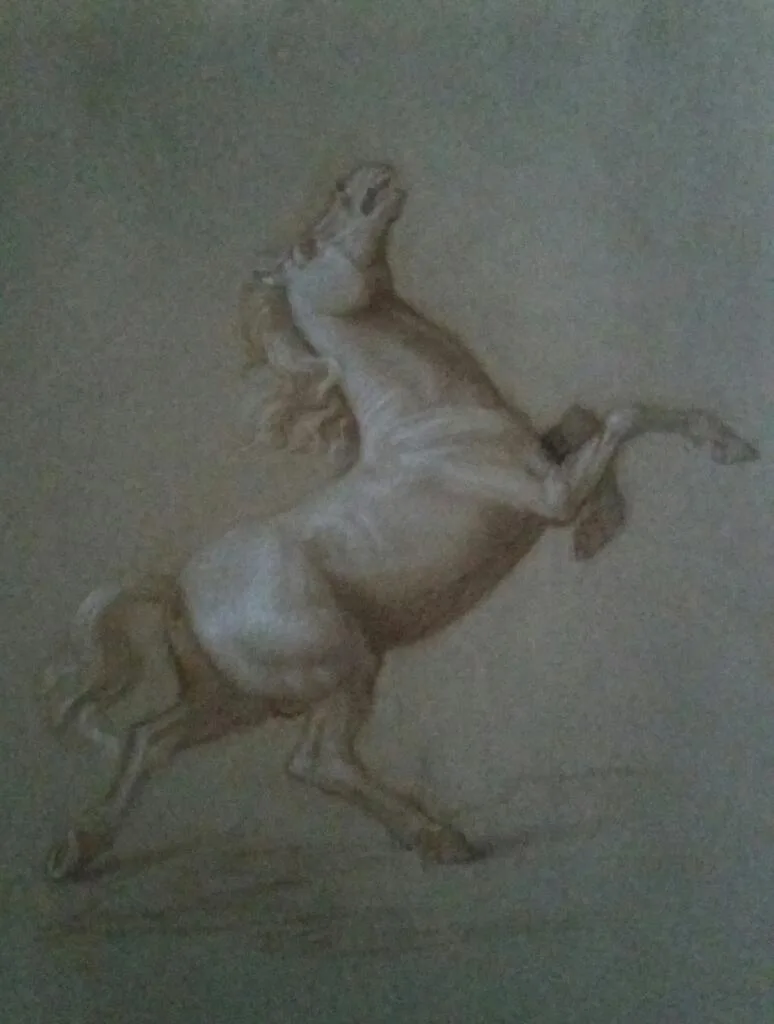 Cavallo imbizzarrito – Giorgio Esposito