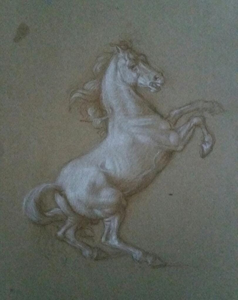 Cavallo rampante – Giorgio Esposito