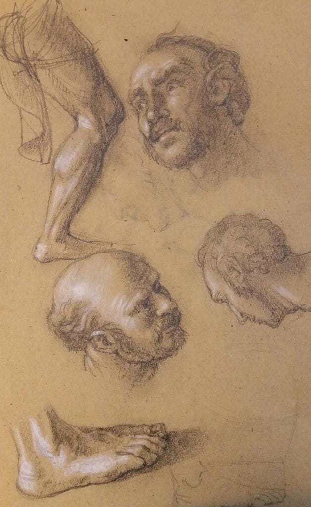 Studi anatomici – Giorgio Esposito