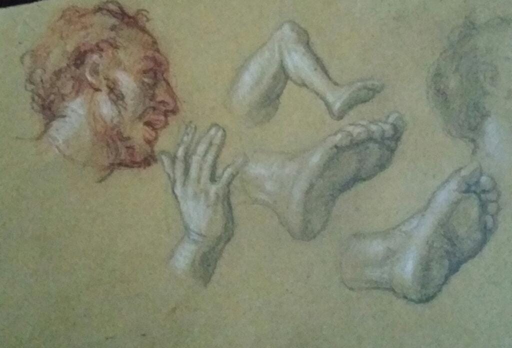 Studio anatomici vari – Giorgio Esposito