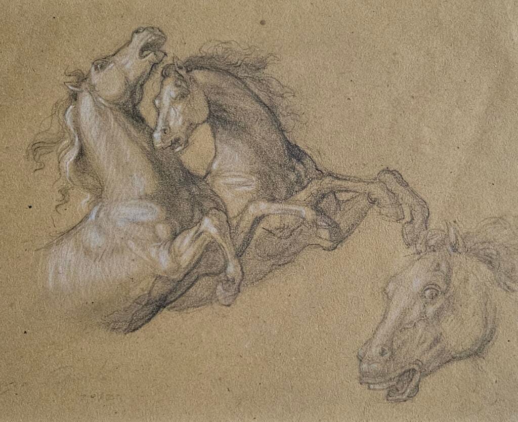 Studio di cavalli – Giorgio Esposito