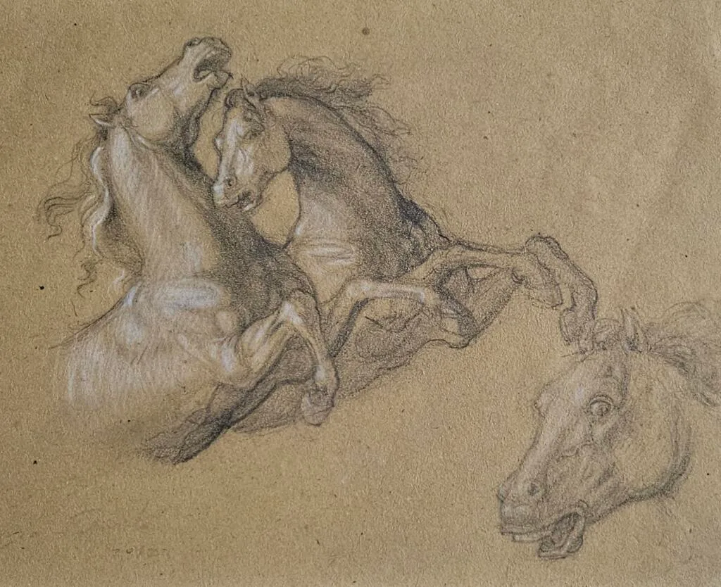Studio di cavalli – Giorgio Esposito