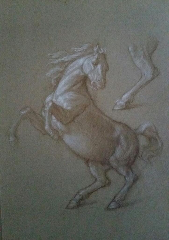 Studio di cavallo rampante – Giorgio Esposito