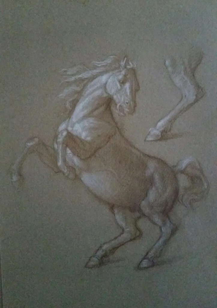 Studio di cavallo rampante – Giorgio Esposito