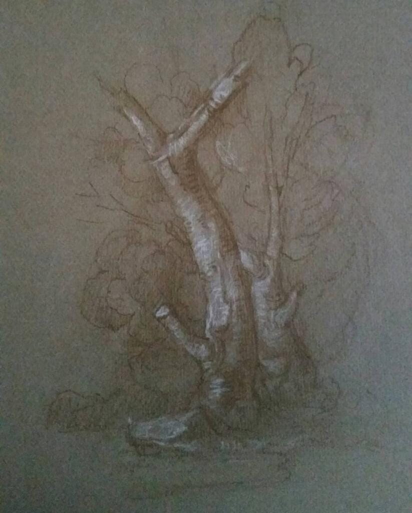 Studio di tronco – Giorgio Esposito