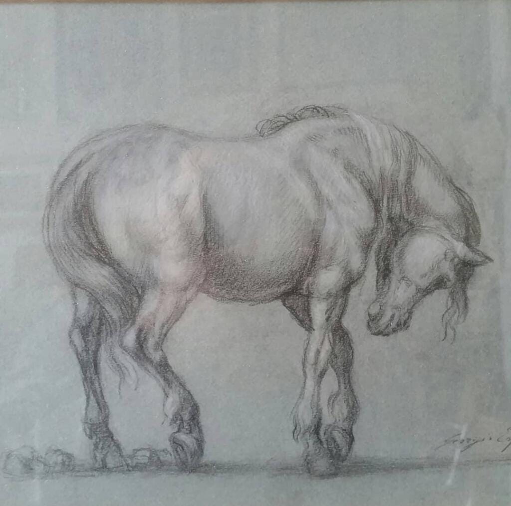 Studio di un cavallo – Giorgio Esposito