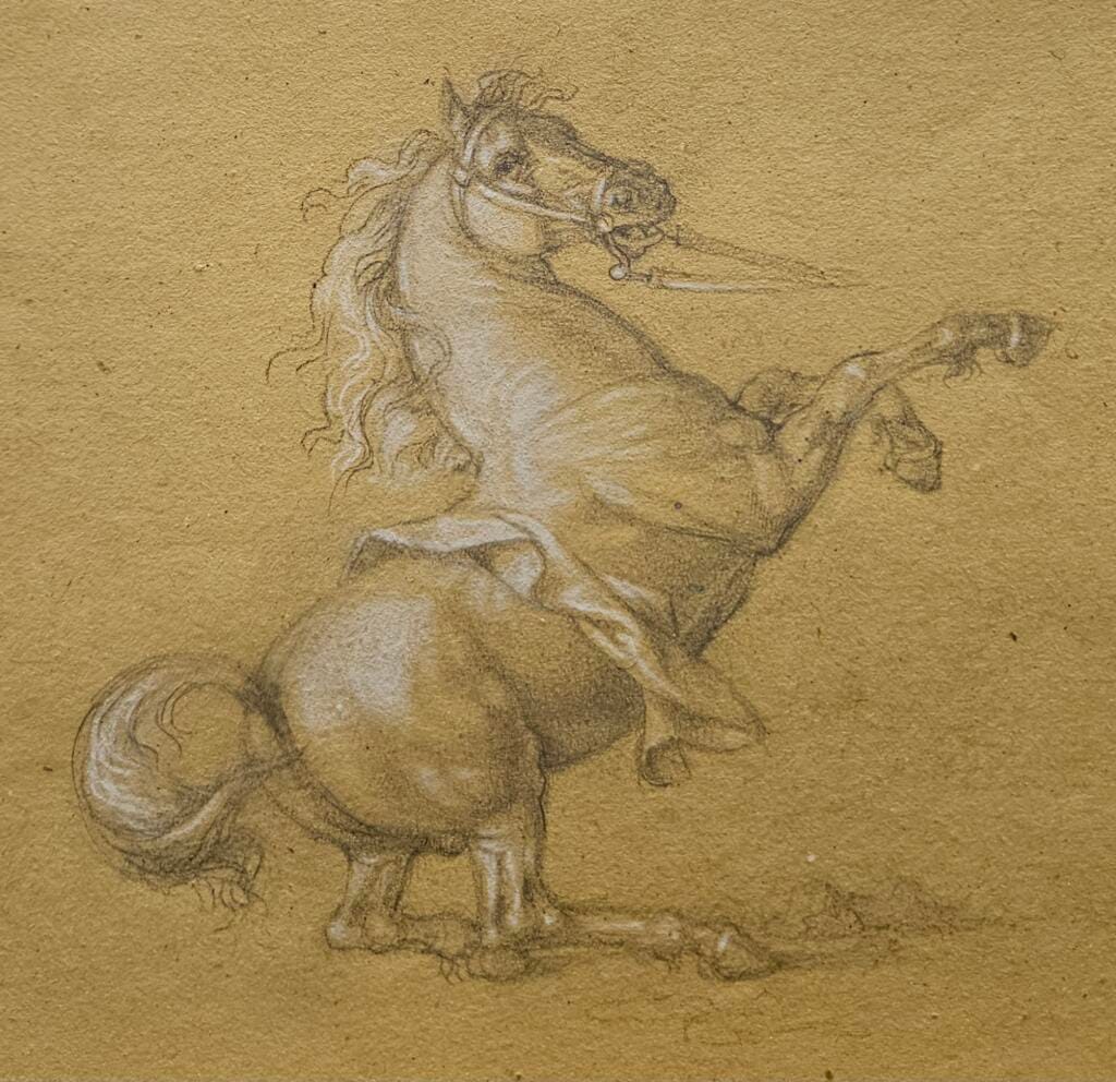 Studio Cavallo per Caduta di San Paolo – Giorgio Esposito