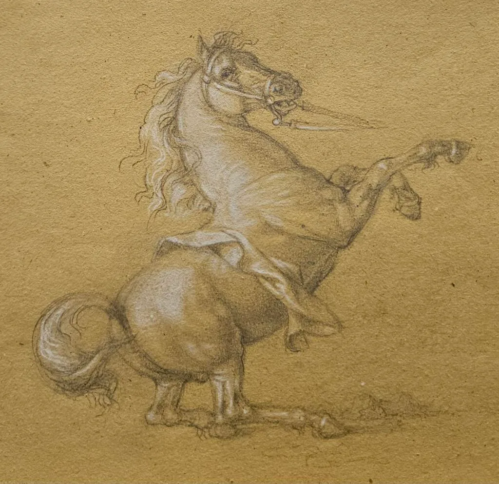 Studio Cavallo per Caduta di San Paolo – Giorgio Esposito